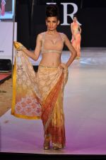 Model walk the ramp for Neeta Lulla Show at IRFW 2012 Day 2 in Goa on 29th Nov 2012 (18).JPG